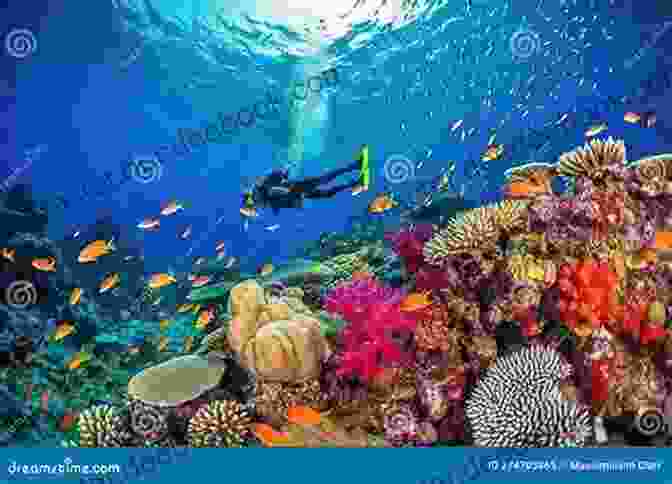 A Diver Swims Through A Colorful Coral Reef, Surrounded By A Variety Of Marine Life Including Fish, Turtles, And Sharks. Secrets Among The Tides (Royal Secrets 1)