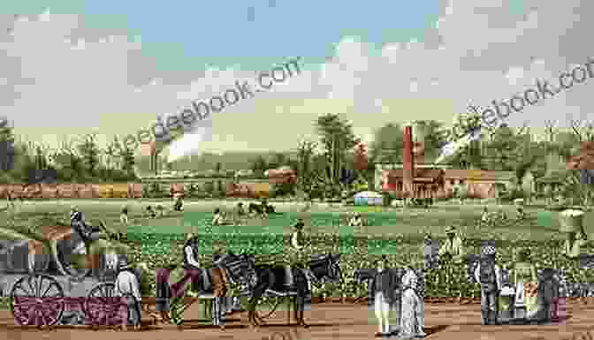 A Photo Of A Plantation In The American South. Shadow Of The Plantation (Black African American Studies)