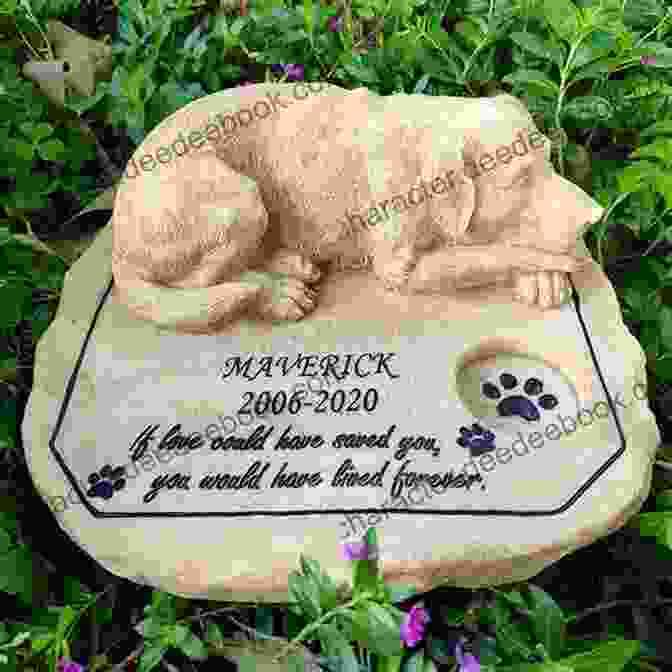 A Serene, Grassy Field With A Memorial Stone Engraved With The Name Of A Beloved Pet, Surrounded By Colorful Flowers. A Letter To Your Pet: Sharing What You Wanted Your Pet To Know