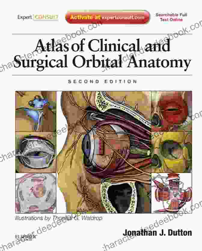 Atlas Of Clinical And Surgical Orbital Anatomy Atlas Of Clinical And Surgical Orbital Anatomy: Expert Consult: Online And Print