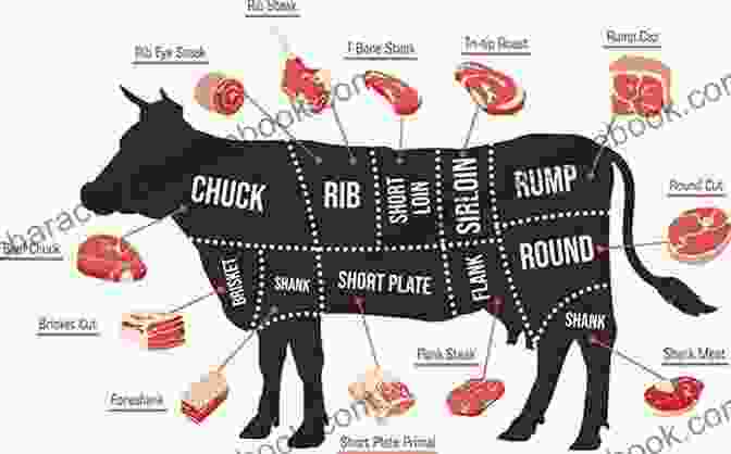 Diagram Of A Steak Showing Different Sections And Cuts Steak Cookbook: The Great Recipes