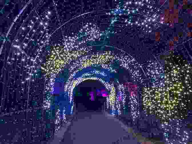 Light Tunnel At The Holiday Serenade Dare Valley The Holiday Serenade (Dare Valley 4)