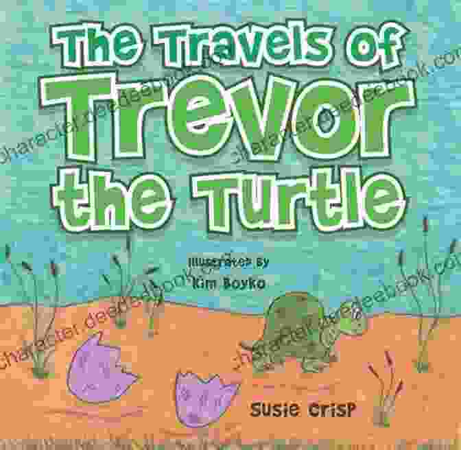 Trevor The Turtle Gazes Out Over The Lagoon, His Eyes Tinged With Loneliness. Trevor The Turtle S Lonely Birthday