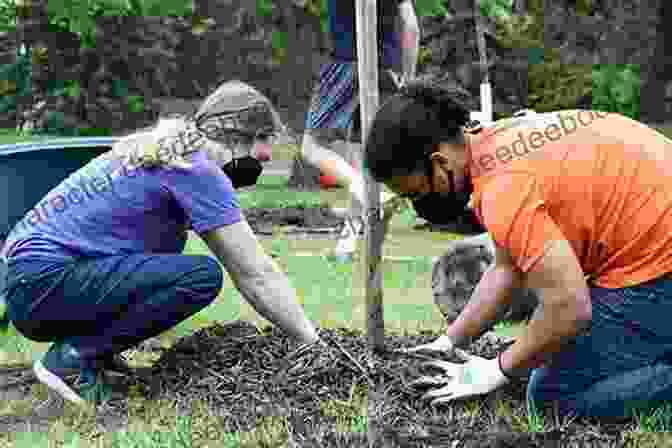 Volunteers Planting Trees At Willowdell Farm A Wonderful Adventure On Willowdell Farm