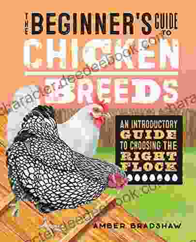 The Beginner S Guide To Chicken Breeds: An Introductory Guide To Choosing The Right Flock