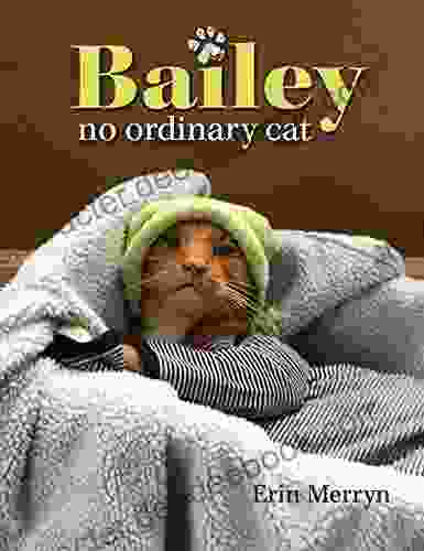 Bailey No Ordinary Cat Erin Merryn