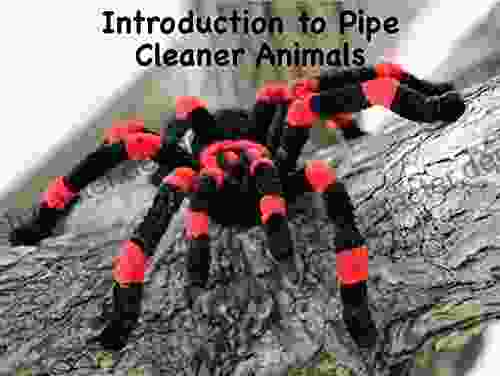 Introduction To Pipe Cleaner Animals: Volume 1