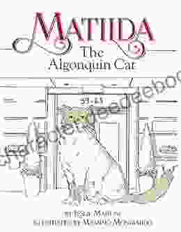 Matilda The Algonquin Cat Leslie Martini