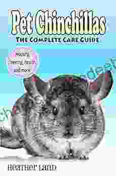 Pet Chinchillas: The Complete Care Guide