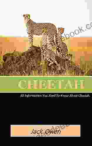 CHEETAH: All Information You Need To Know About Cheetah